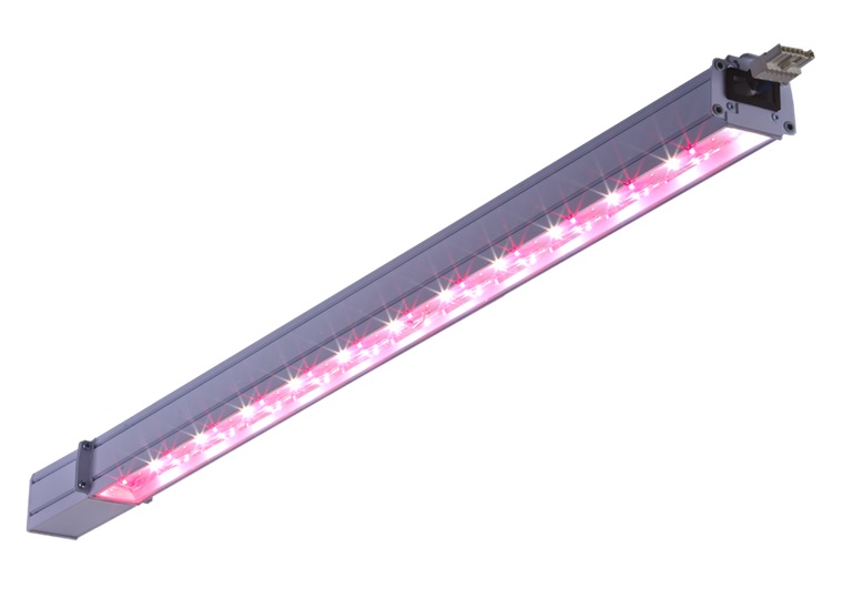 PLANTADOR LED 30 D120 HFR IP54 BRFR